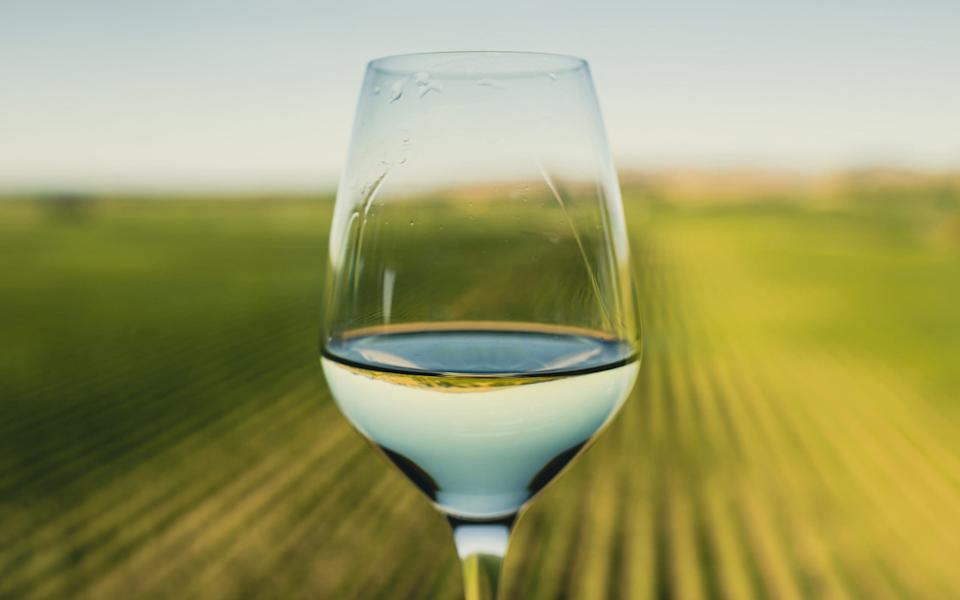 Marlborough glass of wine