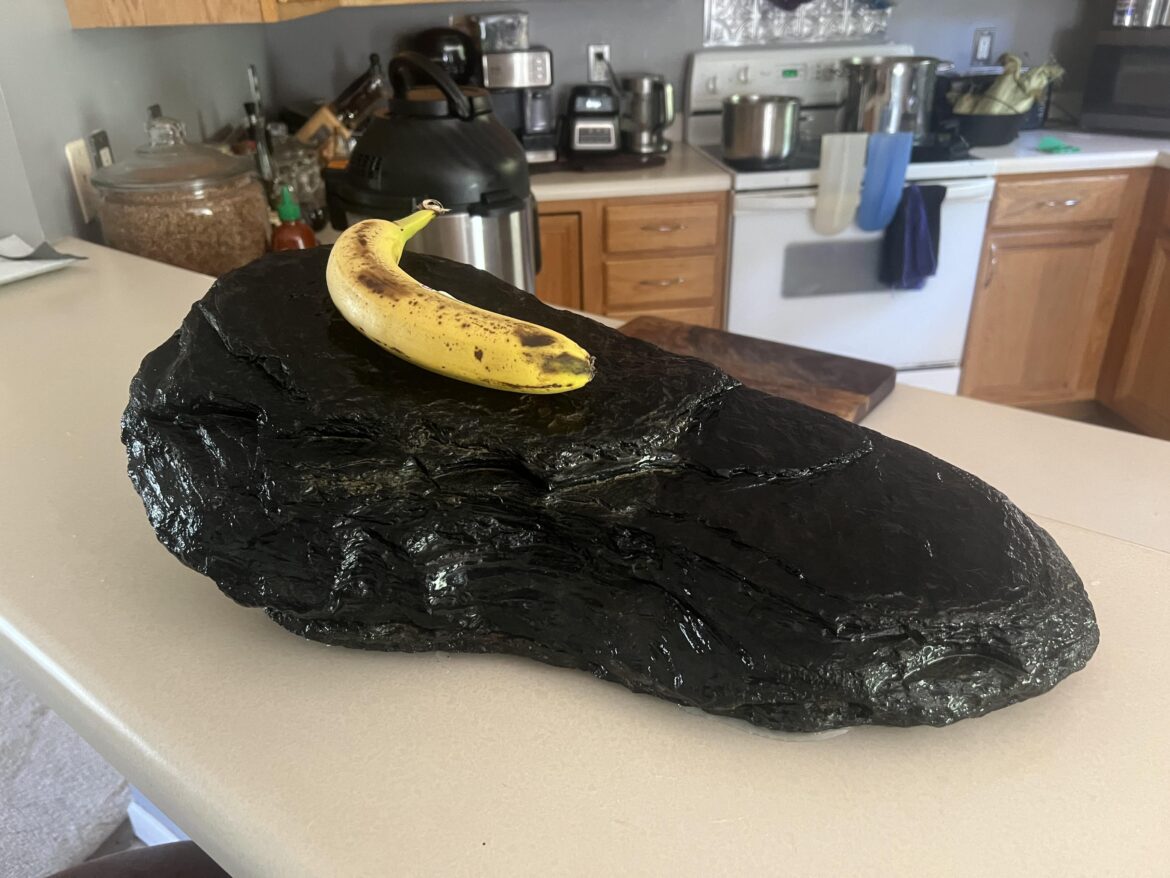 Thought this was a brisket