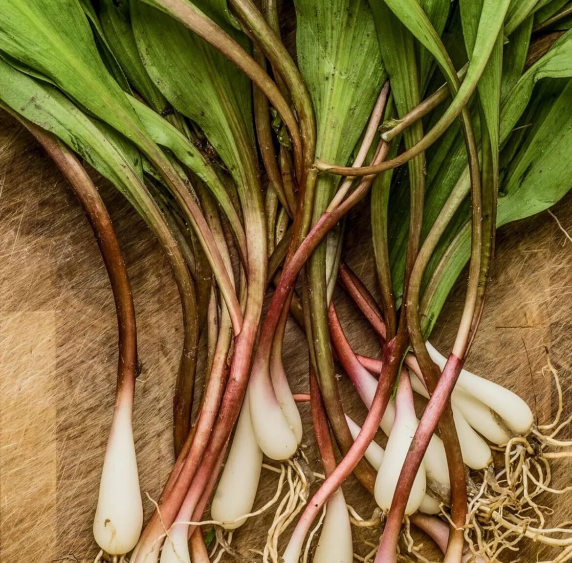 Time for the Spring 2025 Ramp Haul! Where Are You Finding Yours?