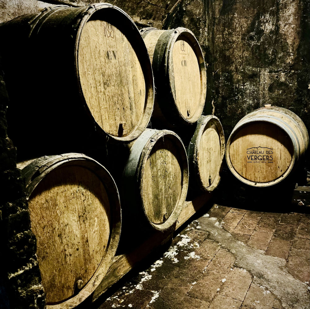 wine barrels in Beaujolais