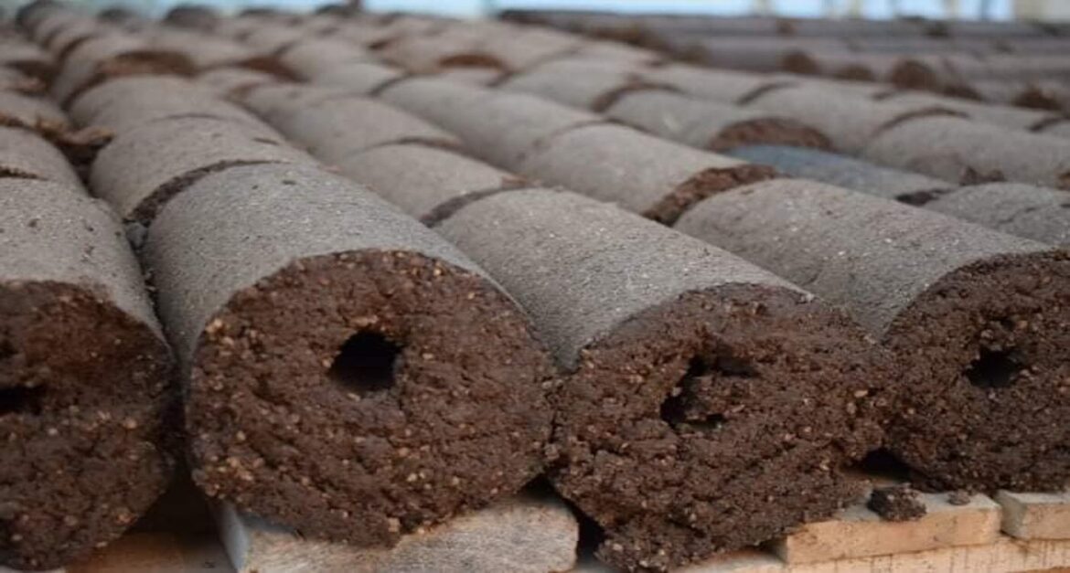 Entrepreneur Transforms Olive Waste into Eco-Friendly Fuel That Cuts CO2 Emission by One-Third