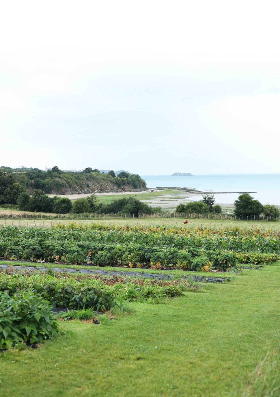 CHAMPS DU VENT ROMAIN BASSENNE 