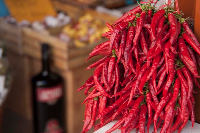 Traditional calabrian red hot chili pepper