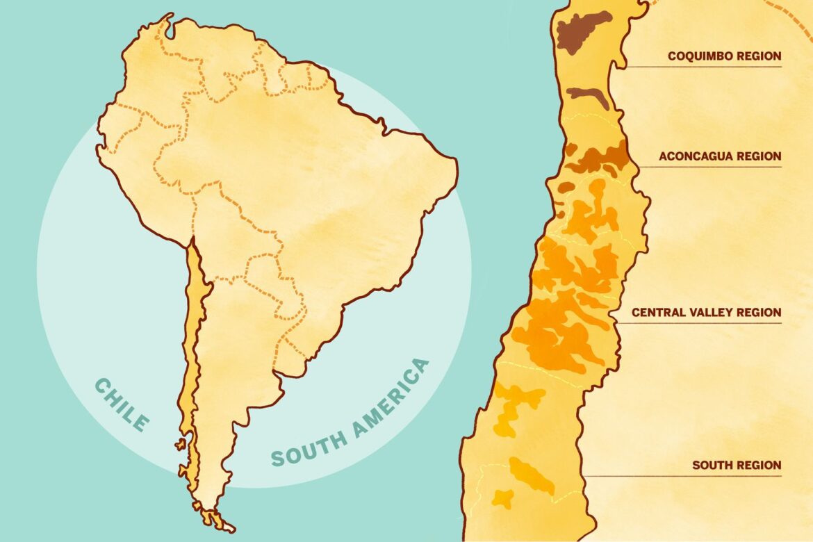 Everything You Need to Know