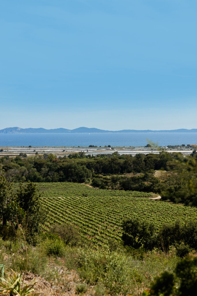 Château Galoupet