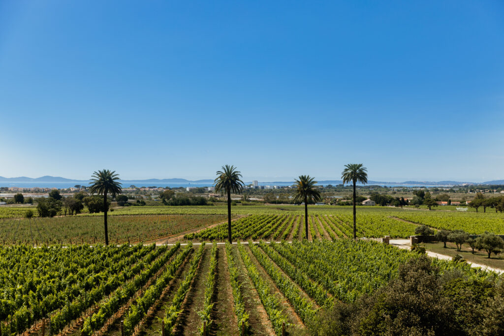 Château Galoupet