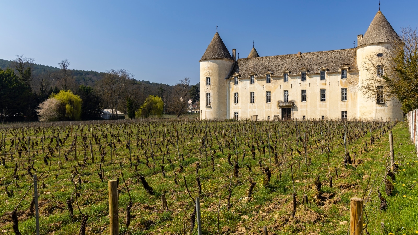A photograph capturing Chateau de Savigny-les-Beaune in Beaune, France. The image features the exterior of the chateau, showcasing its architectural elements and surrounding landscape. 