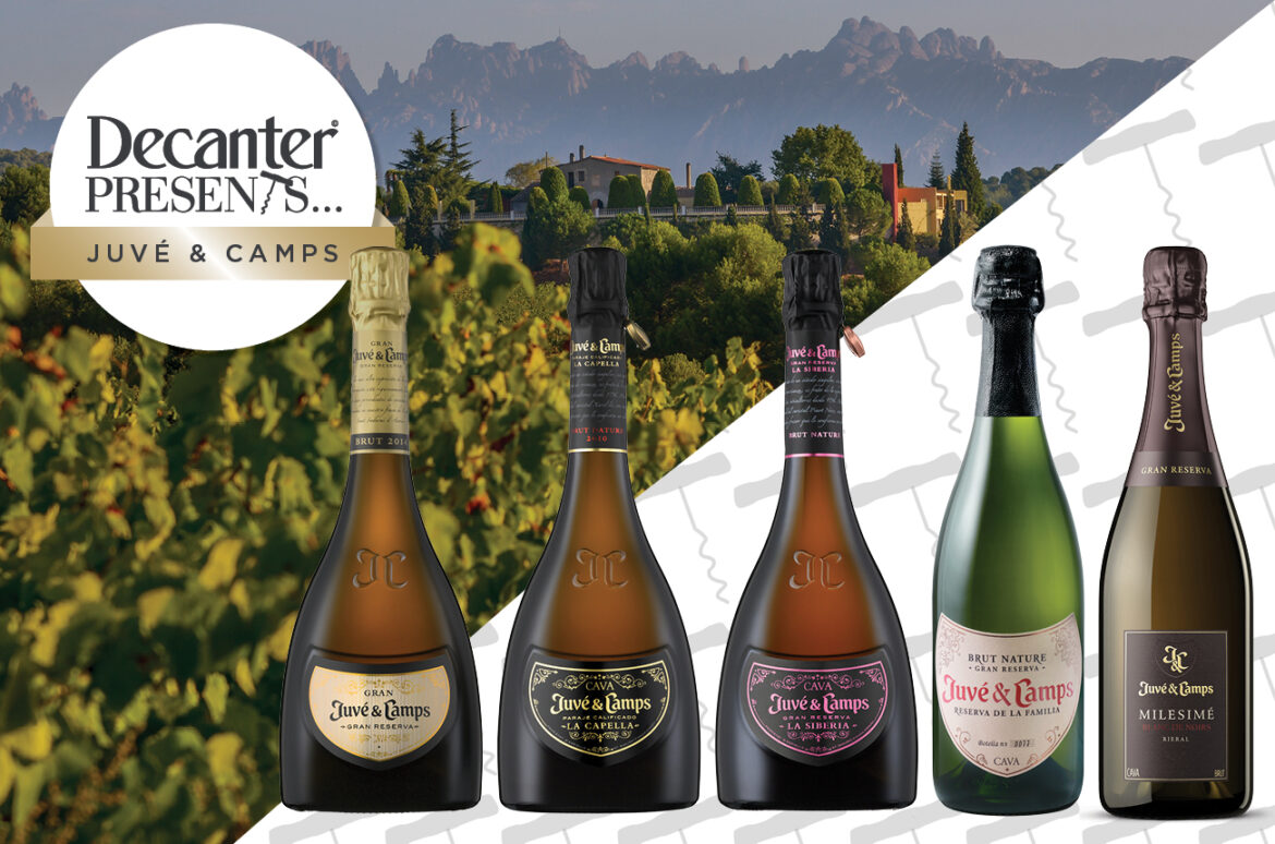 Juvé & Camps tasting at Decanter: Discovering long-aged premium Spanish sparkling wines