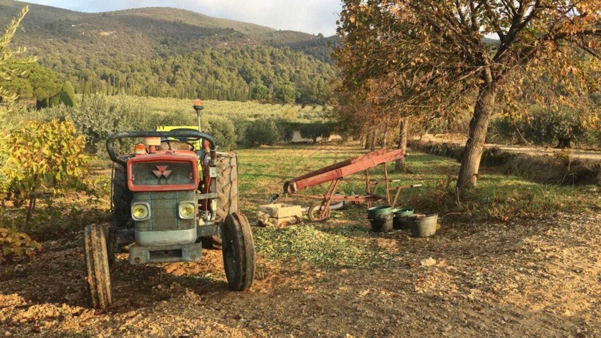 Winning NYIOOC a ‘Matter of Pride’ for French Producers Winning NYIOOC a 'Matter of Pride' for French Producers