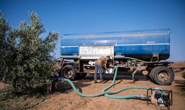 The rising cost of olive oil is attributed to climate change's adverse effects on production. Prolonged droughts, heatwaves, and pest infestations challenge olive farmers in the Mediterranean and beyond. However, innovative farming practices offer hope for sustainable adaptation in the face of these challenges.