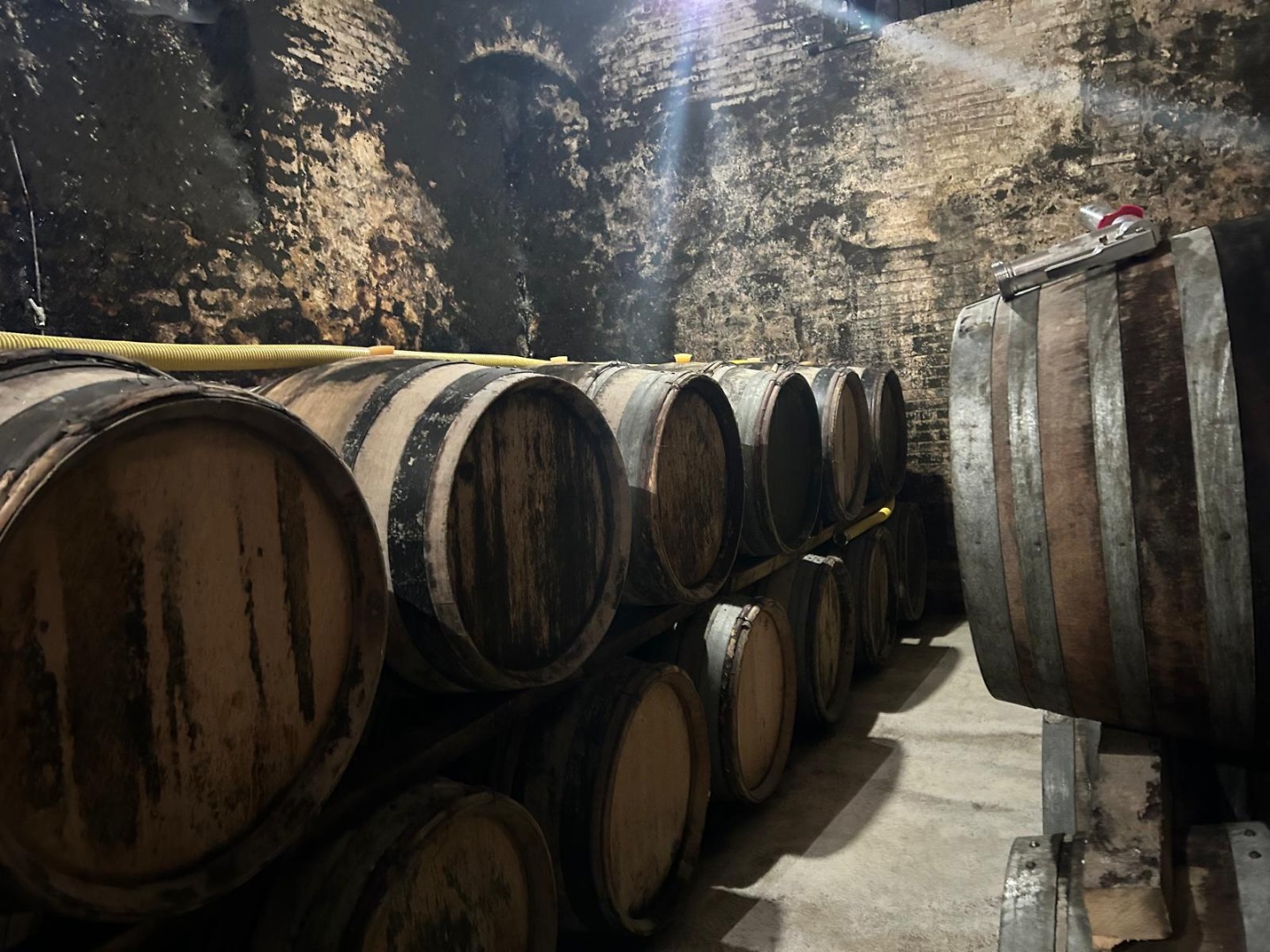 Champagne Barrels Fourny et Fils_5369544.jpeg