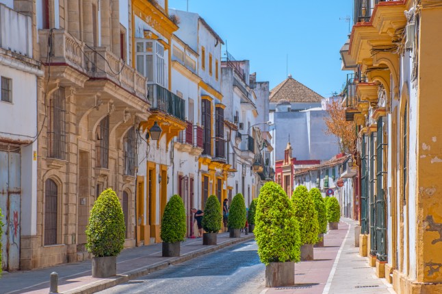 A colourful street lined with plants on a sunny day in Jerez, Spain.