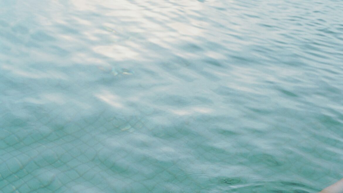 Could Your High-Protein Diet Ruin Your Gut?