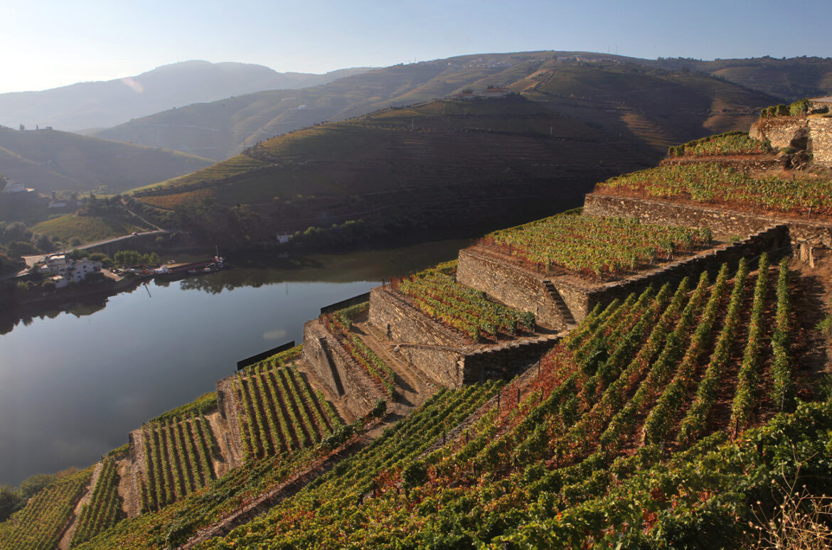Douro’s re(d)volution: The ascent of Portugal’s still red wines Douro's re(d)volution: The ascent of Portugal’s still red wines