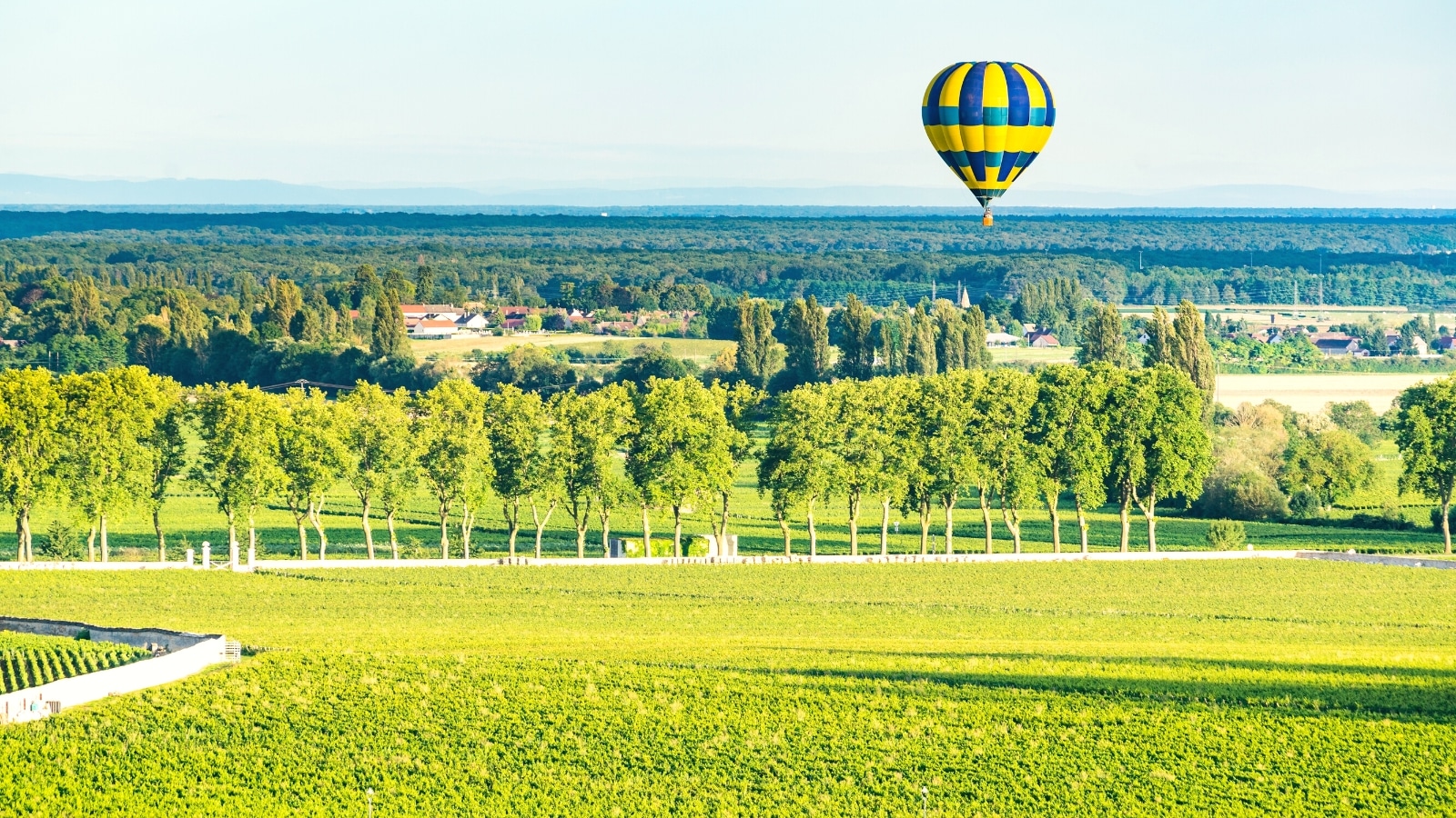 A photograph capturing a hot air balloon suspended above the green landscape of Beaune, France. The surrounding scenery features lush greenery. The balloon, predominantly blue and yellow in color, adds a contrasting element to the verdant environment. 