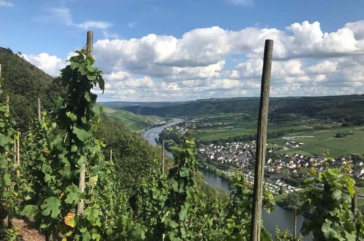 German Sekt: The quality choices German Sekt: The quality choices