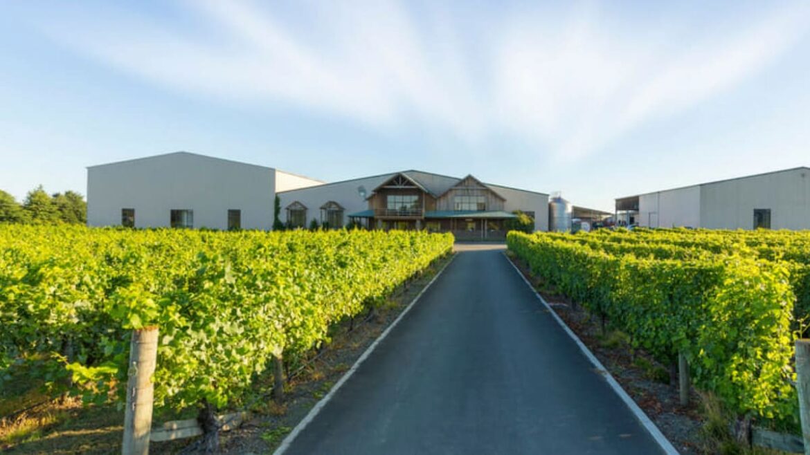 Weekend wine guide: 50 not out