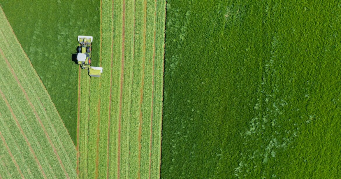 ‘Hidden’ fungus could support future food production