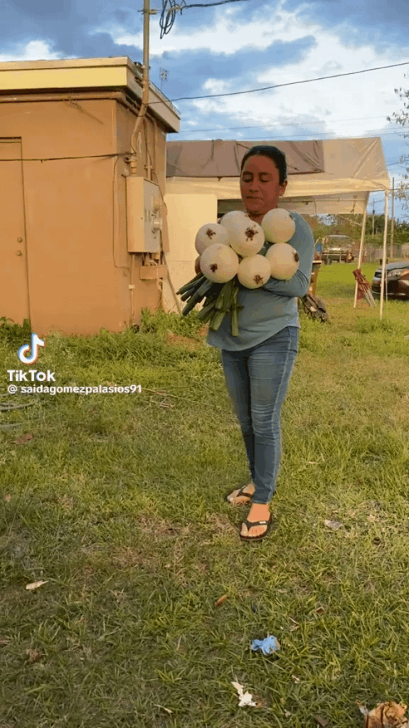 What would you make?