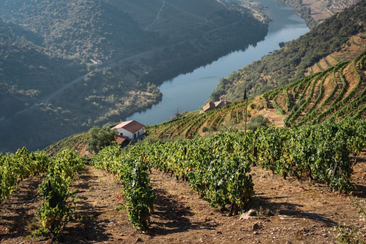 Portugal ranked best destination for wine lovers