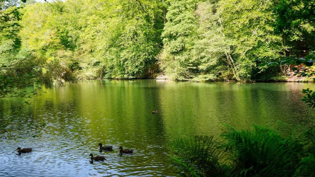 A serene view of a river within a park in Beaune, France. The image captures abundant greenery surrounding the riverbanks, creating a tranquil natural setting. 