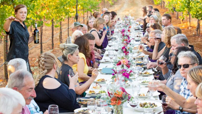 Guests enjoying a meal at a long table between the vines in Amador County. 