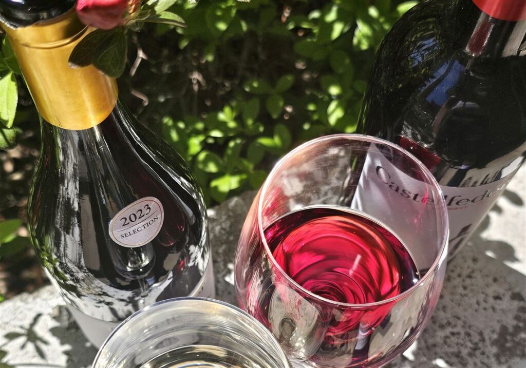 Castelfeder makes fine wines with a German and Italian accent