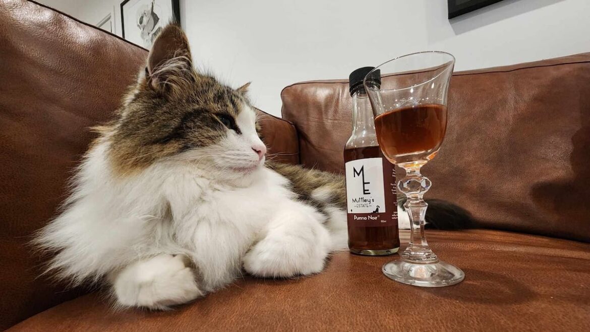 Horticulture: Kiwi start-up’s catnip wine ready for export