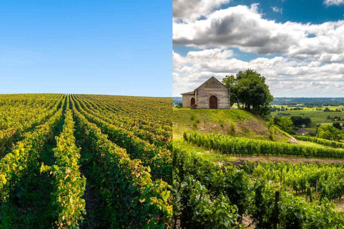 Left Bank vs. Right Bank Bordeaux: Here’s Why It Matters