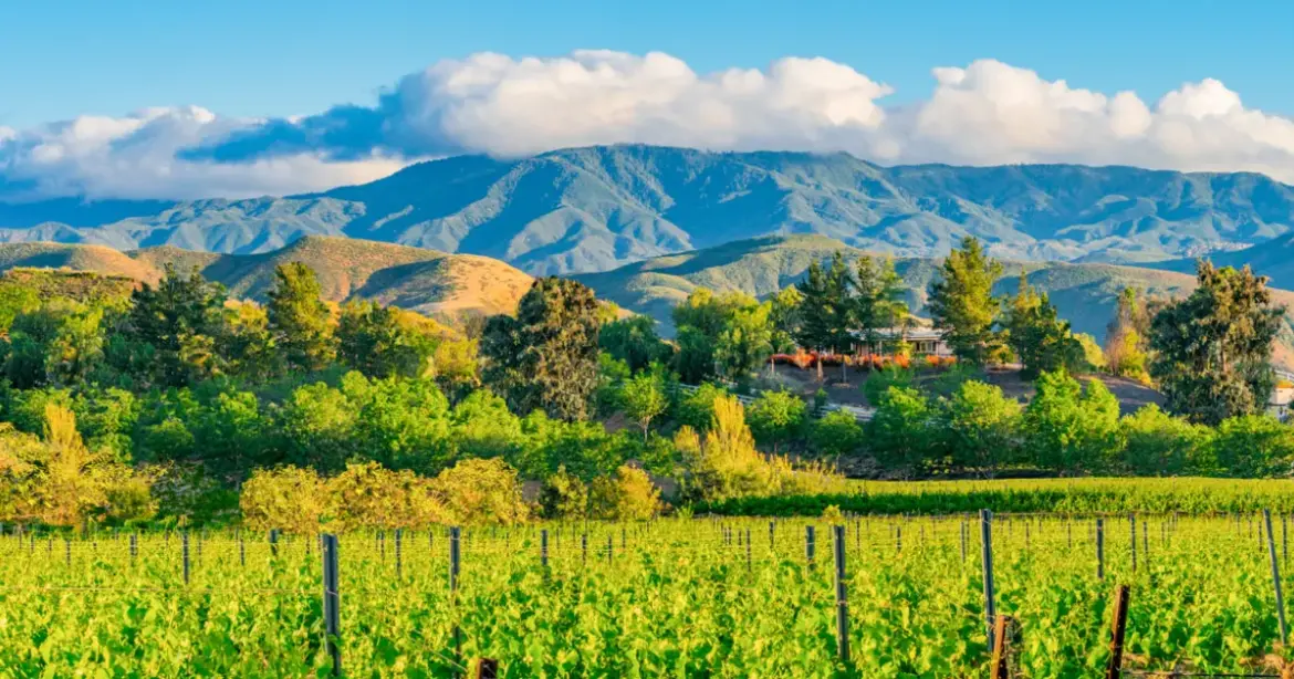 Explore 3 California Wine Regions with Travel + Leisure