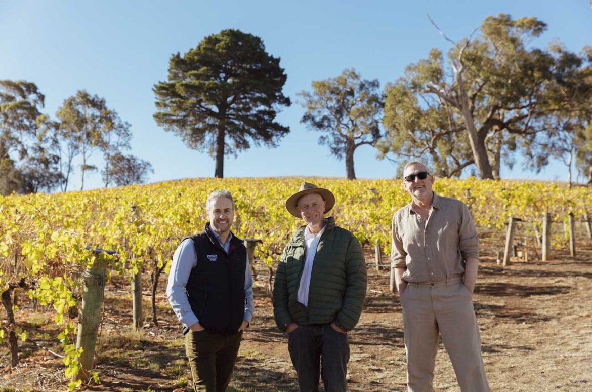 Wirra Wirra purchases Adelaide Hills producer Hahndorf Hill