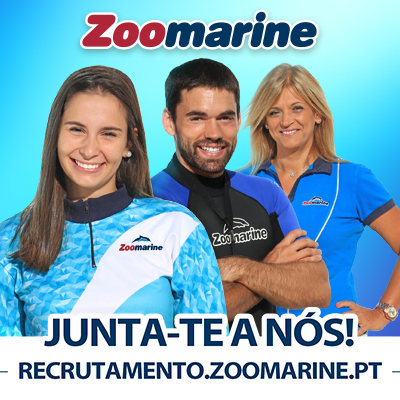 zoomarine recruitment 2025