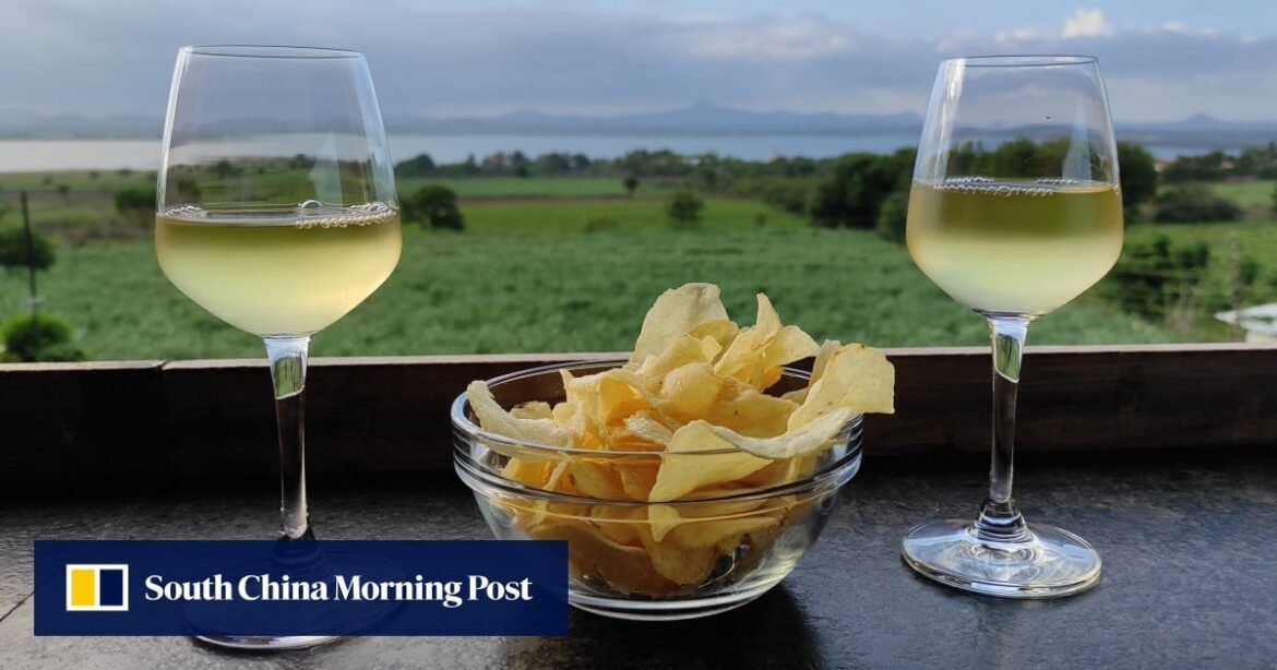 Indian wine country booming as award-winning vineyards draw tourists and domestic fans