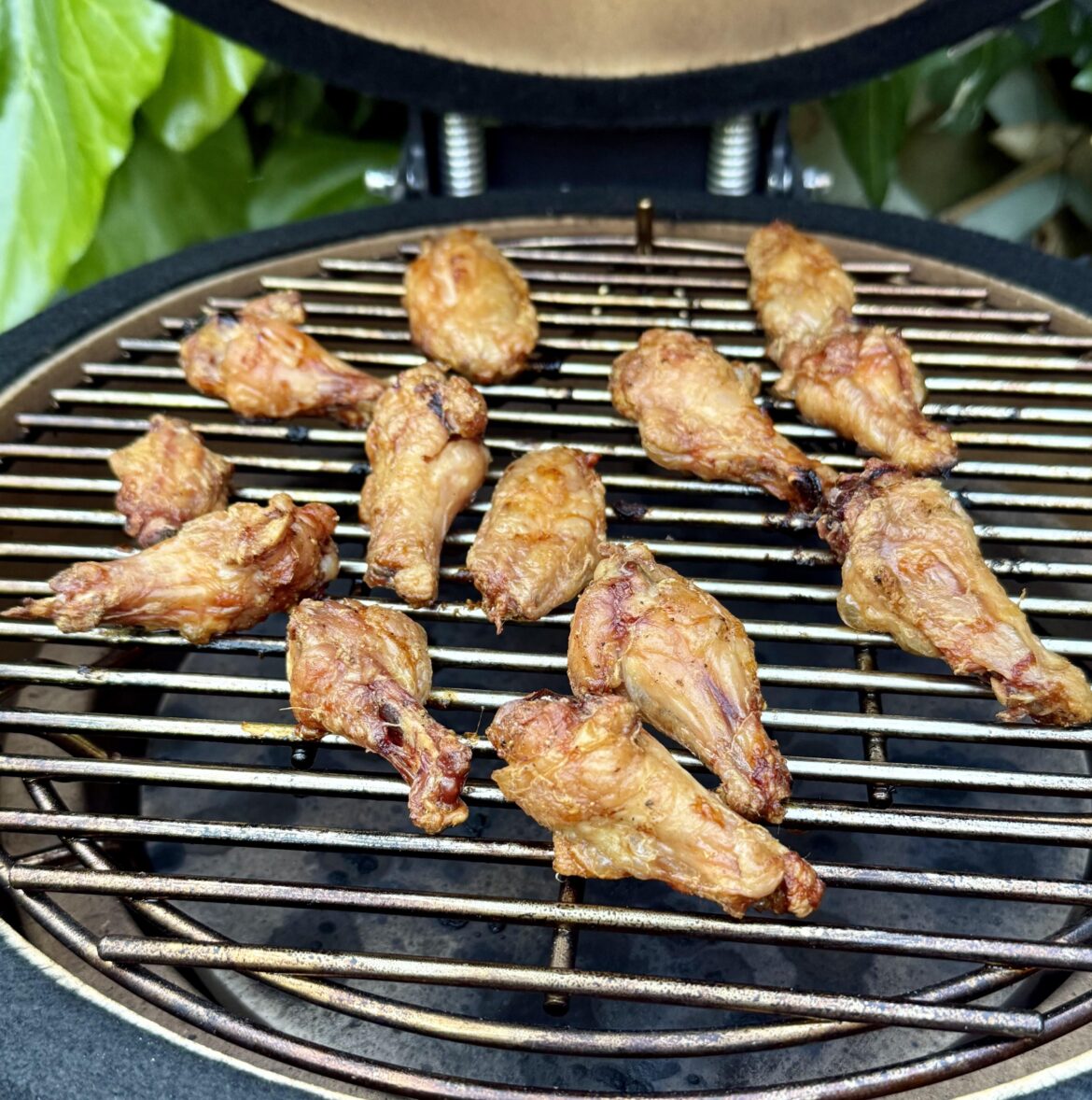 Crispiest ever chicken wings