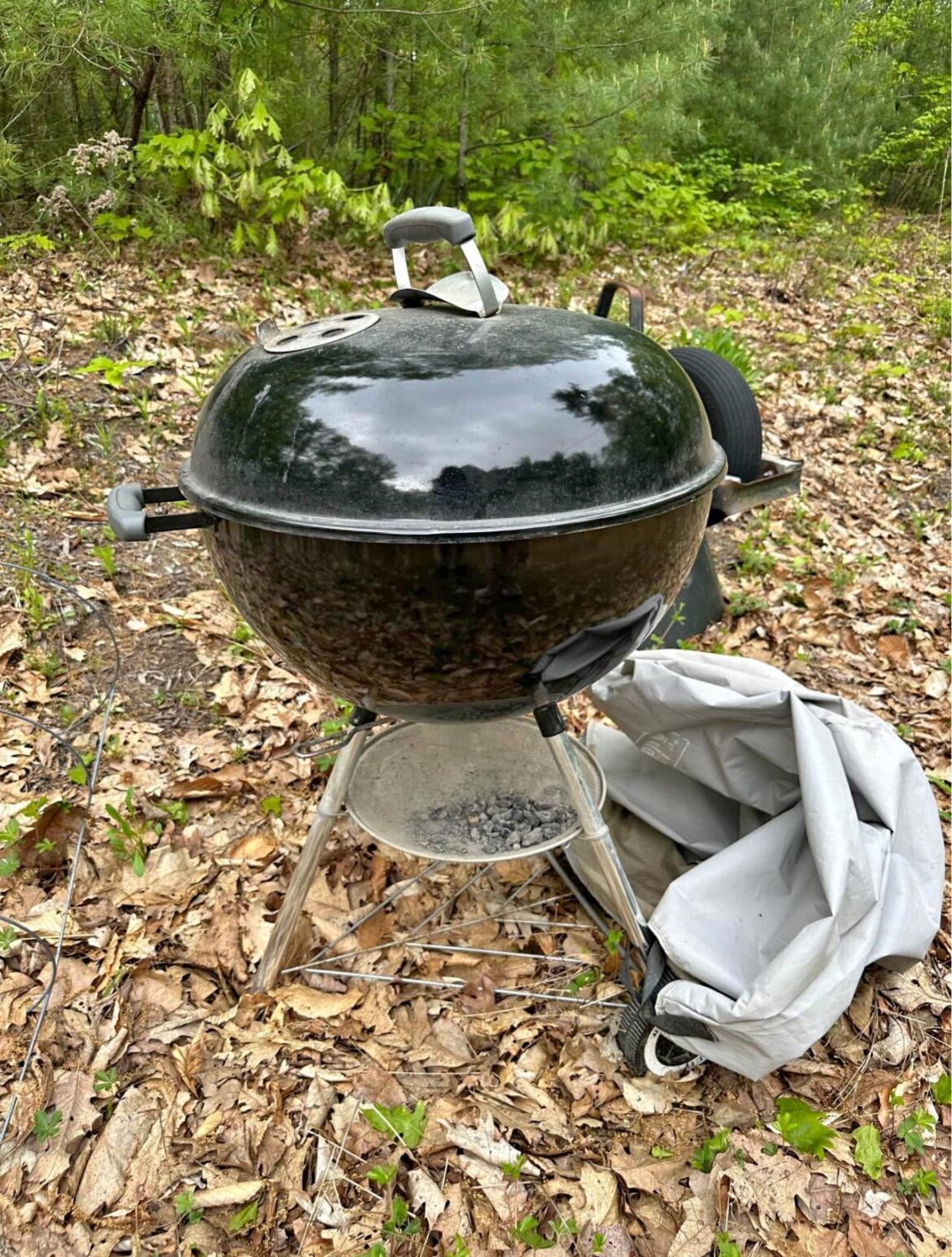 Getting my mother hooked on charcoal (hopefully)