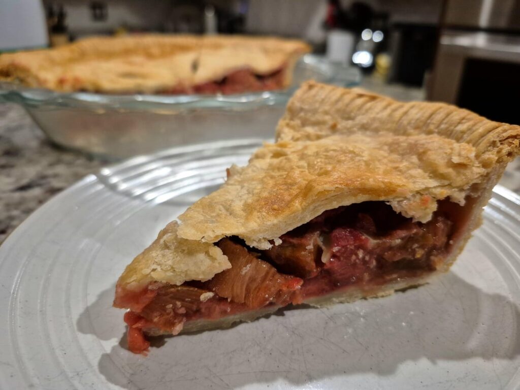 My first attempt at pie! Thoughts?
