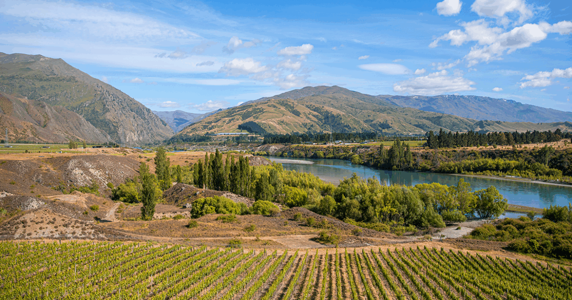 Best wineries and vineyards Bannockburn