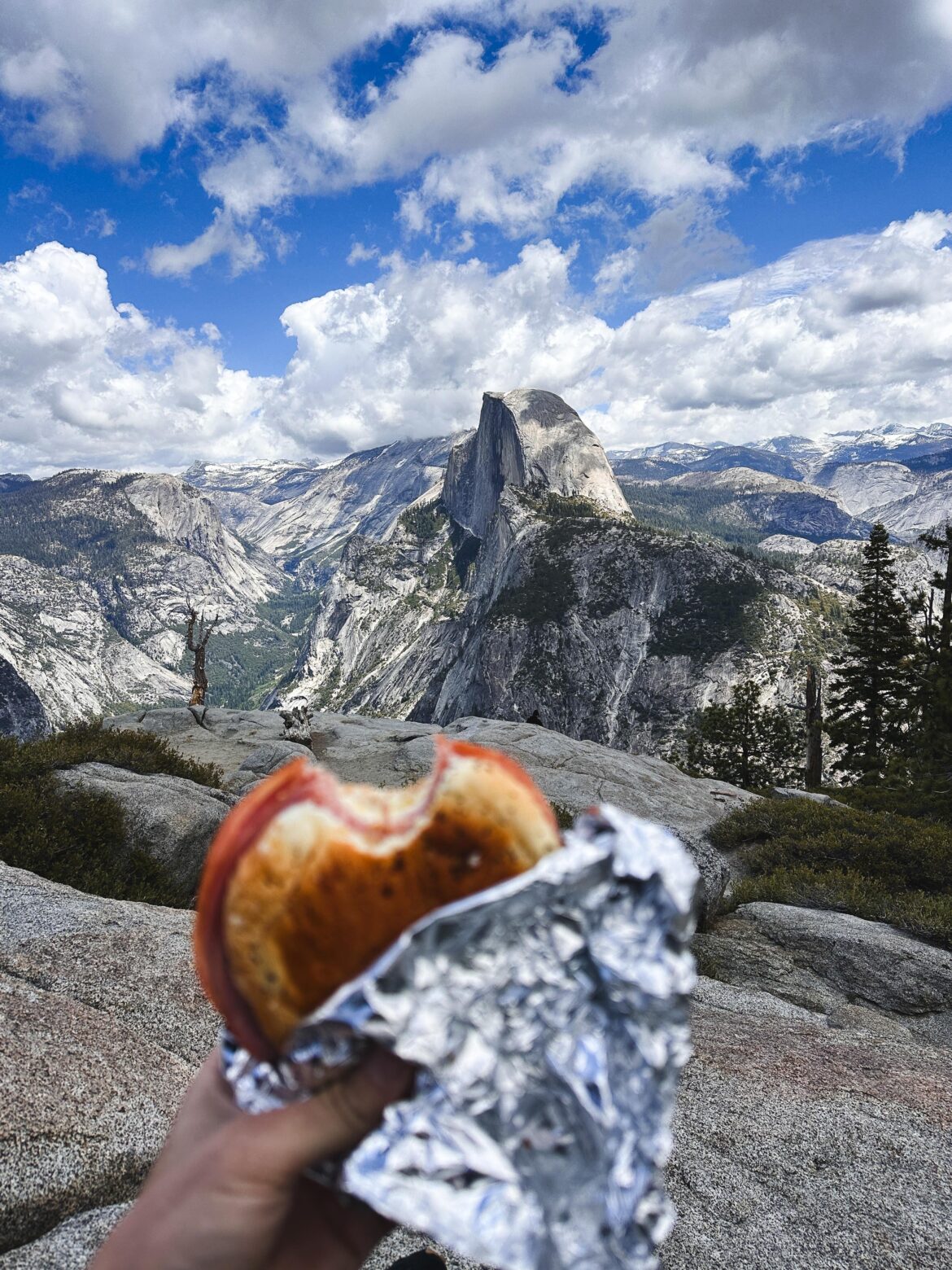 Yosemite Sandwich