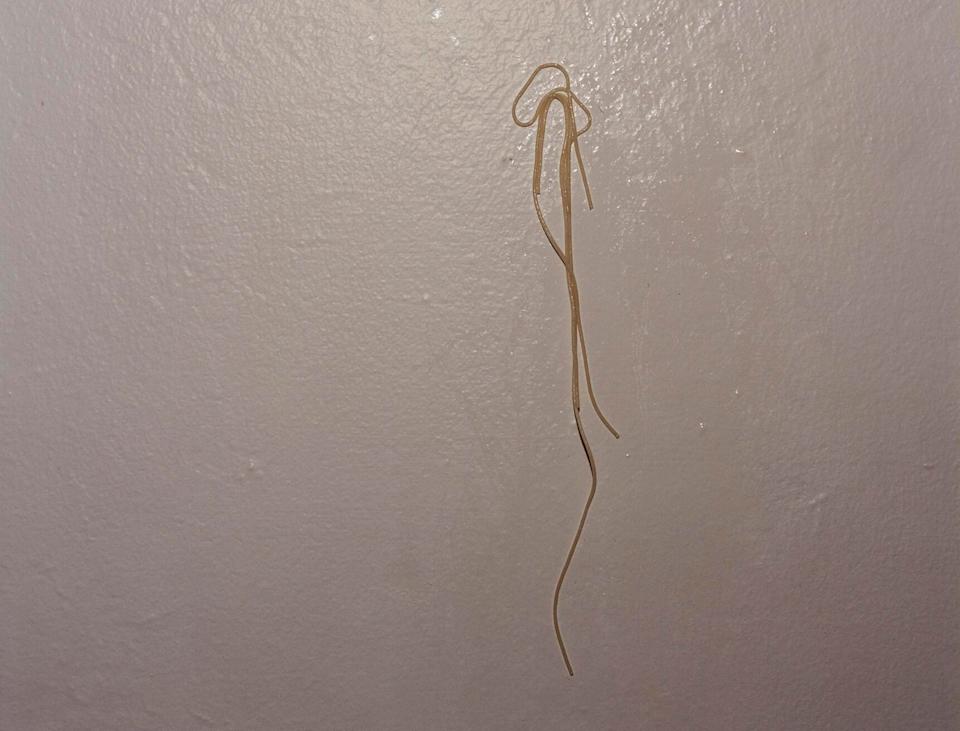pasta stuck to wall