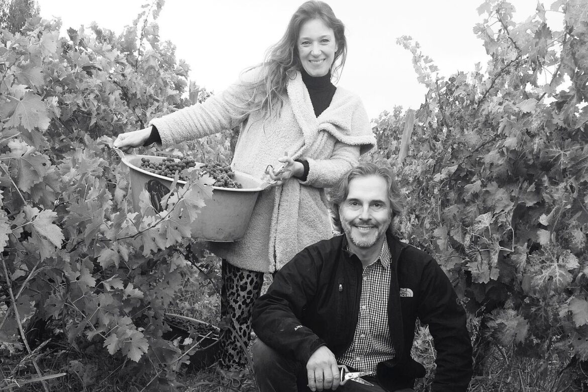 Marco Puyo’s Viña Dagaz ‘world class’ Chilean wines