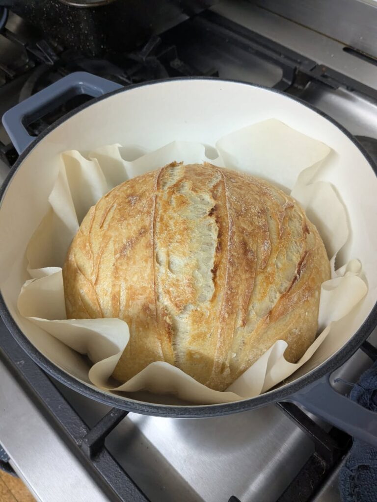 First loaf! Critique?