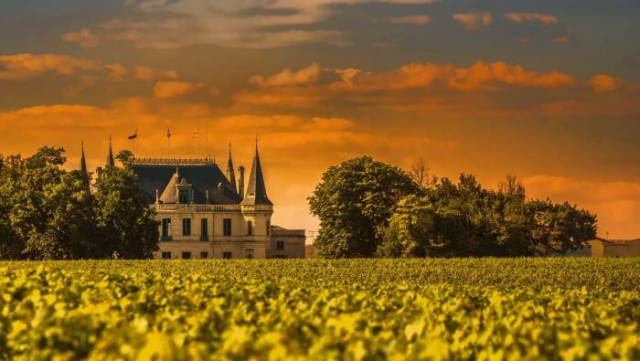 Bordeaux Wine Harvest Hits Lowest Level in Over 30 Years