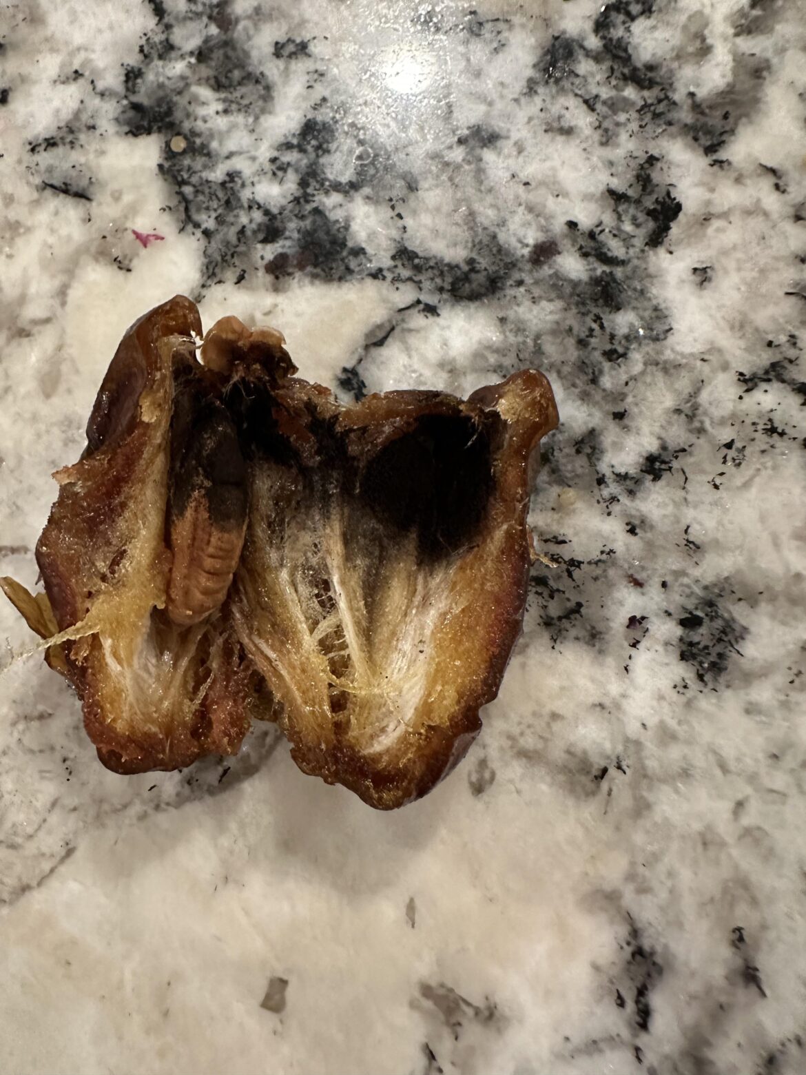 What is this in my date?