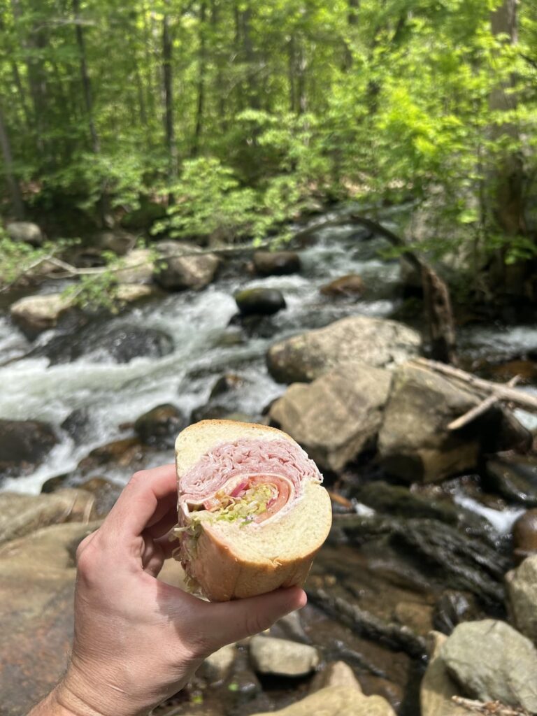 Ate an Italian sub at Harriman State Park in New York today