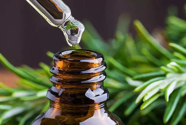 Butter vs. plant oil