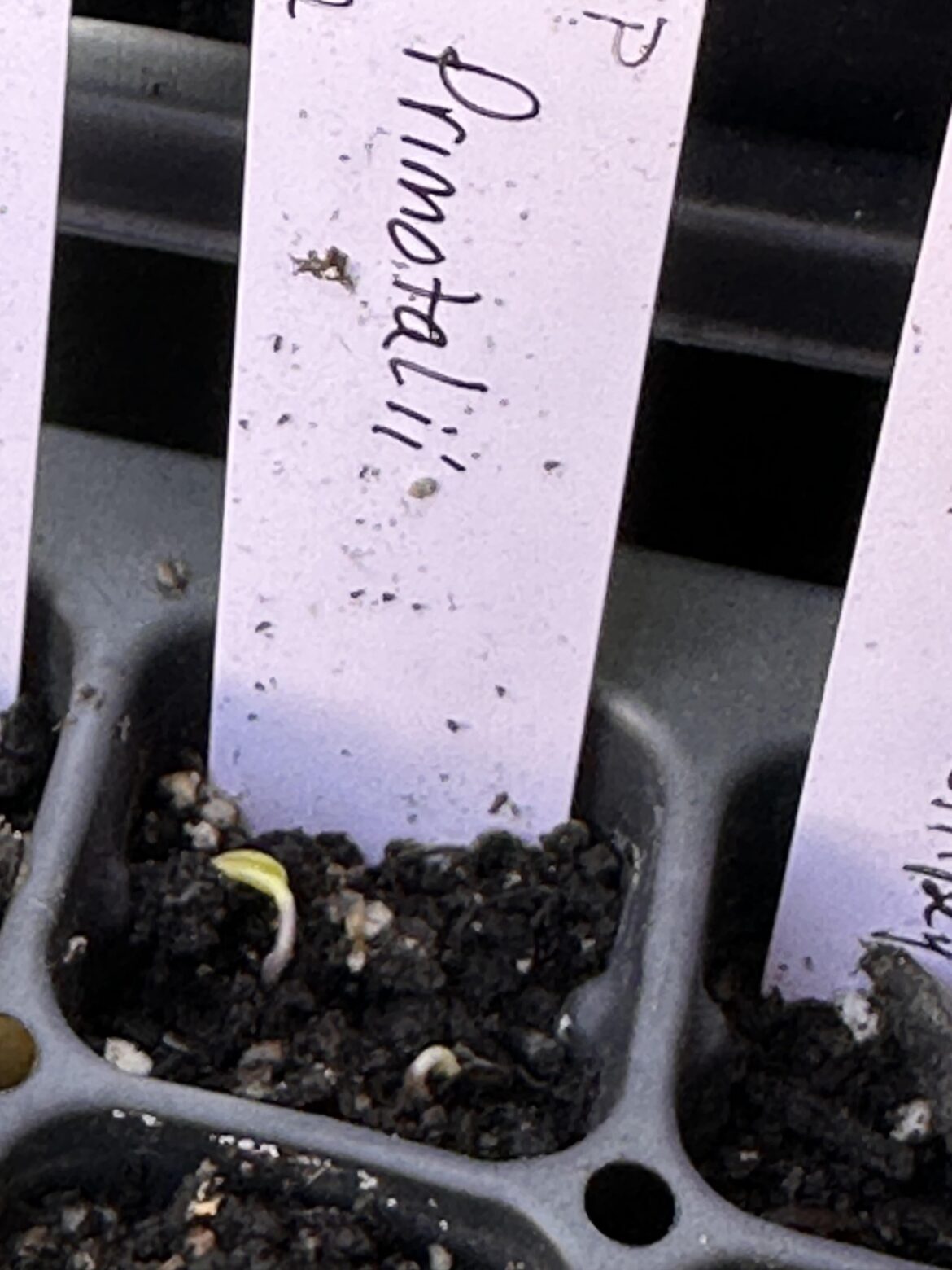 Well, that only took 3 months