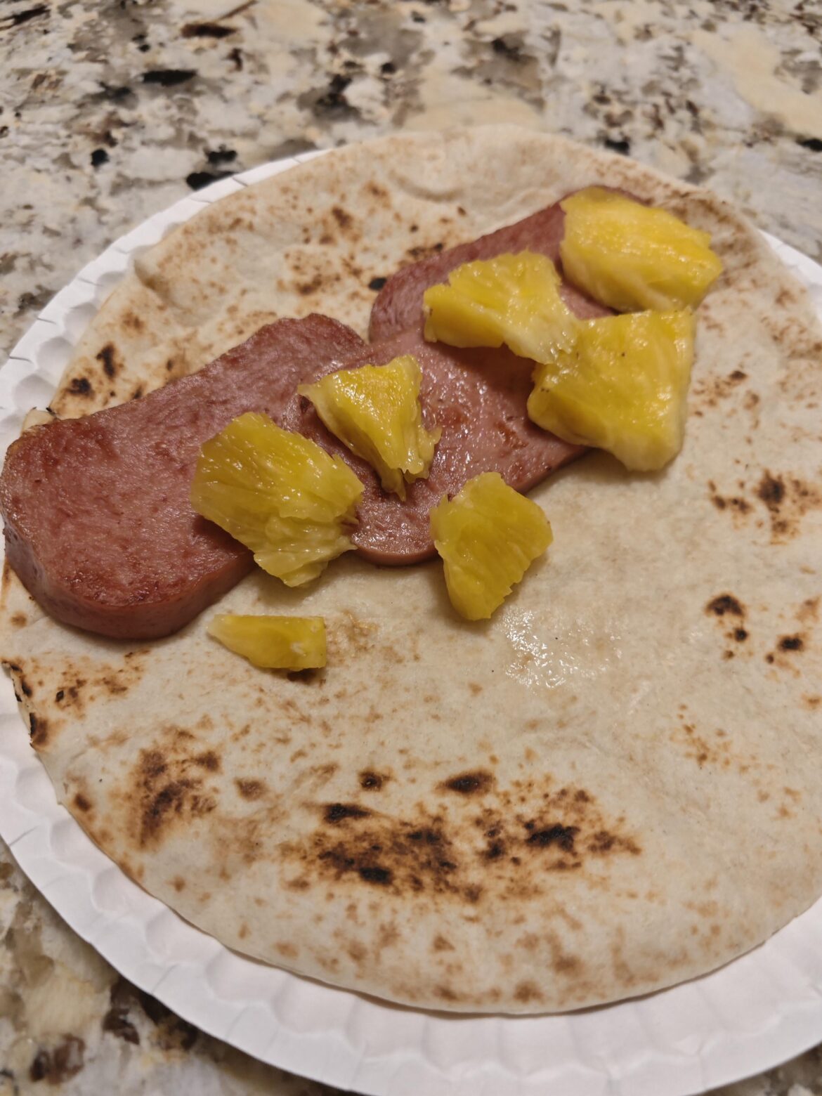 Made a hawaiian burrito and my friends got concerned for my wellbeing.