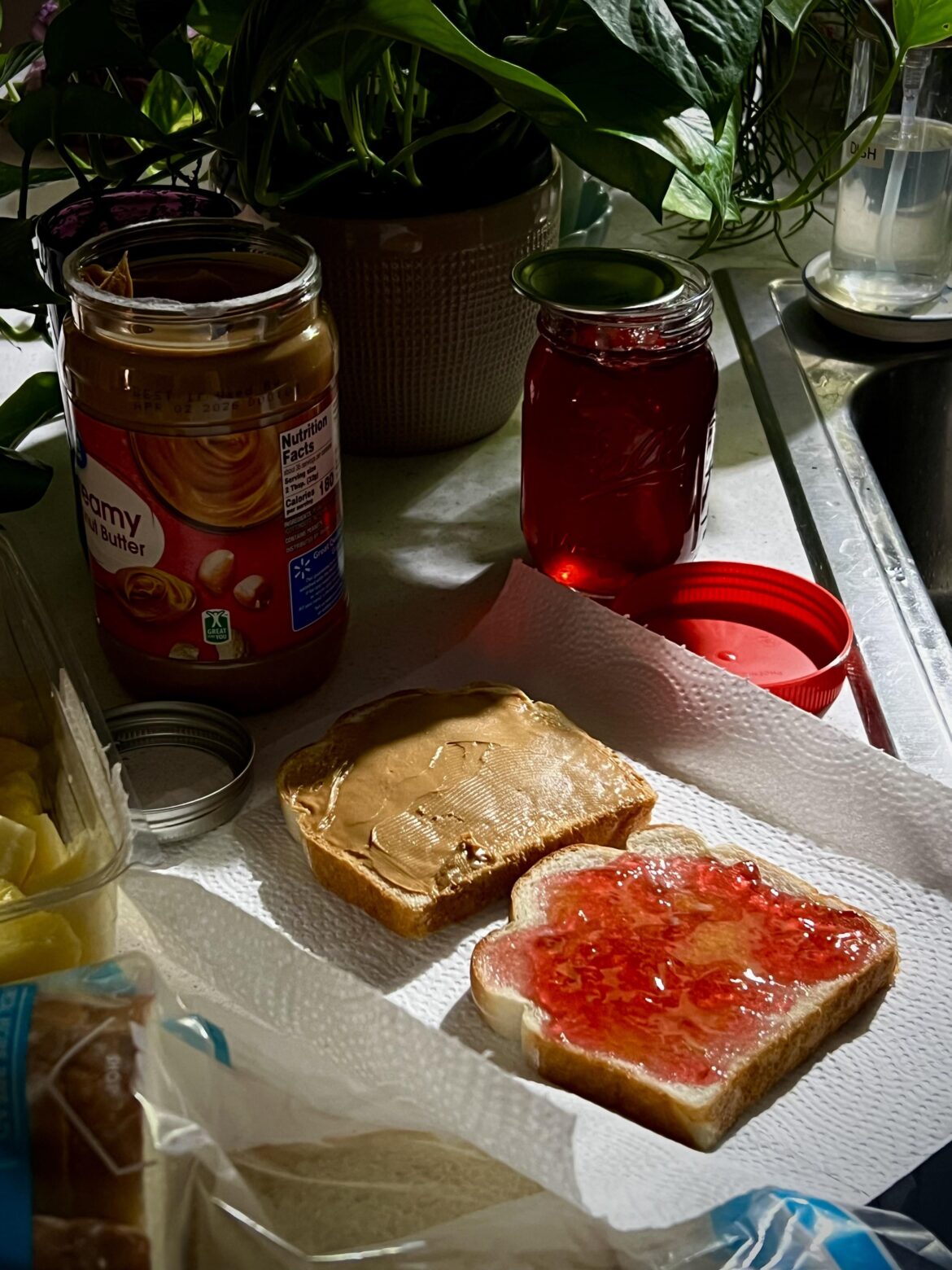 I may just be high, but I think I accidentally made shitty food art