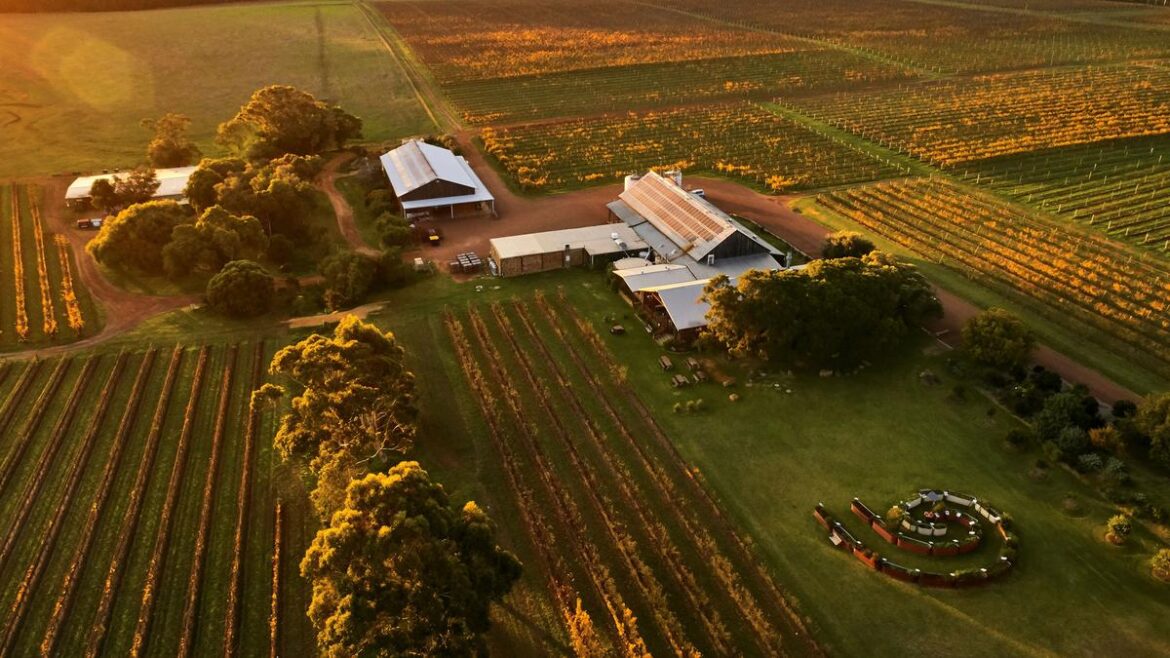 Cullen Wines: WA winery cracks top 10 in The Real Review’s 2025 Top Wineries of Australia list Cullen Wines: WA winery cracks top 10 in The Real Review’s 2025 Top Wineries of Australia list
