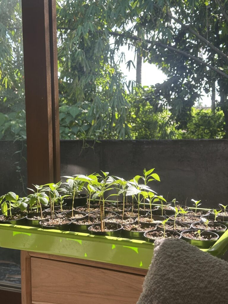 Catching some late afternoon sun Catching some late afternoon sun